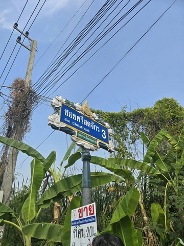 บ้านเดี่ยว ขาย rightintheheartofSukhumvit Luxury-detached-house-for-sale, บ้านเดี่ยวหรู2ชั้นพร้อมสระว่ายน้ำสุขุมวิท in-Sukhumvit71,SoiPridiBanomyong26 Luxury-detached-house-for-sale,