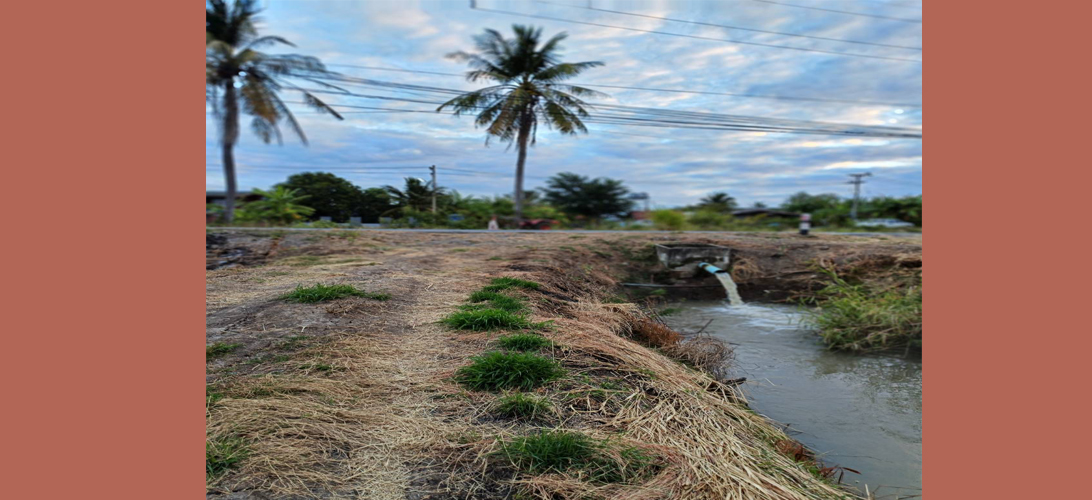 ที่ดิน ขาย ขายที่ดิน36ไร่ เหมาะลงทุนระยะยาว ใกล้ตัวเมืองลพบุรี ถูกกว่าใกล้เคียง ที่ดินผืนใหญ่ราคาถูกลพบุรี