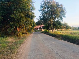 ขาย ที่ดิน ที่นา-ที่ดินราคาถูกนครราชสีมา น้ำประปาไฟฟ้าผ่านหน้าที่นา ใกล้ถนนโชคชัย-เดชอุดม เข้าออกหมู่บ้านได้2เส้นทาง ใกล้ทางหลวงหมายเลข24