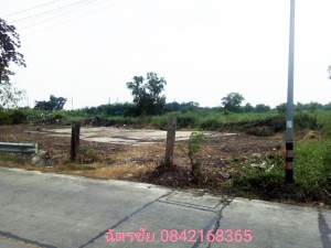 ที่ดิน ขาย โครงการเชิงพาณิชย์ ขายถูก เหมาะทำหมู่บ้านจัดสรร ที่ดินธัญบุรีคลอง6,หรือปทุมธานี เหมาะจัดสรรแบ่งขาย,