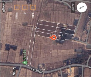 ที่ดิน ขาย ขายที่ดินอำเภอเมืองลำพูนราคาถูก ใกล้แหล่งชุมชน-ตลาด-ห้าง-โรงพยาบาล เจ้าของขายเอง ตำบลป่าสัก ติดถนนบ้านบูชา-ป่าสัก