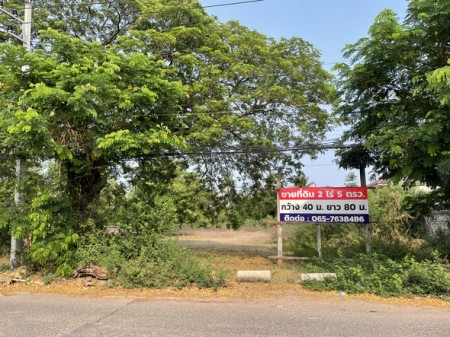 ขาย ที่ดิน ที่ดินโฉนดครุฑแดง ใจกลางเมืองอุดรธานี เหมาะพัฒนาโครงการอสังหา ทำเลทองอุดรธานี เหมาะเก็งกำไร