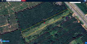 ขาย ที่ดิน อสังหาพัทลุงราคาคุ้มสุด พร้อมไฟฟ้าน้ำประปา ติดถนนเพชรเกษม ที่ดินพัทลุงราคาถูก ที่ดินป่าบอนถูกกว่าใกล้เคียง