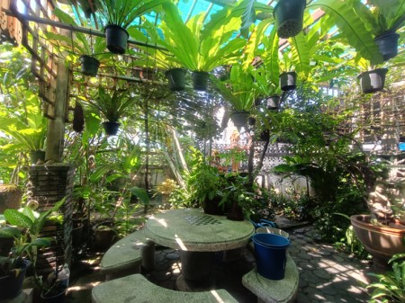 บ้าน ขาย บ้านมือสองลาดพร้าวโชคชัย4 เกษตรนวมินทร์–เอกมัย–รามอินทรา สะดวกเดินทางหลายทาง ใกล้โรงพยาบาลเปาโลโชคชัย4 เลียบด่วน